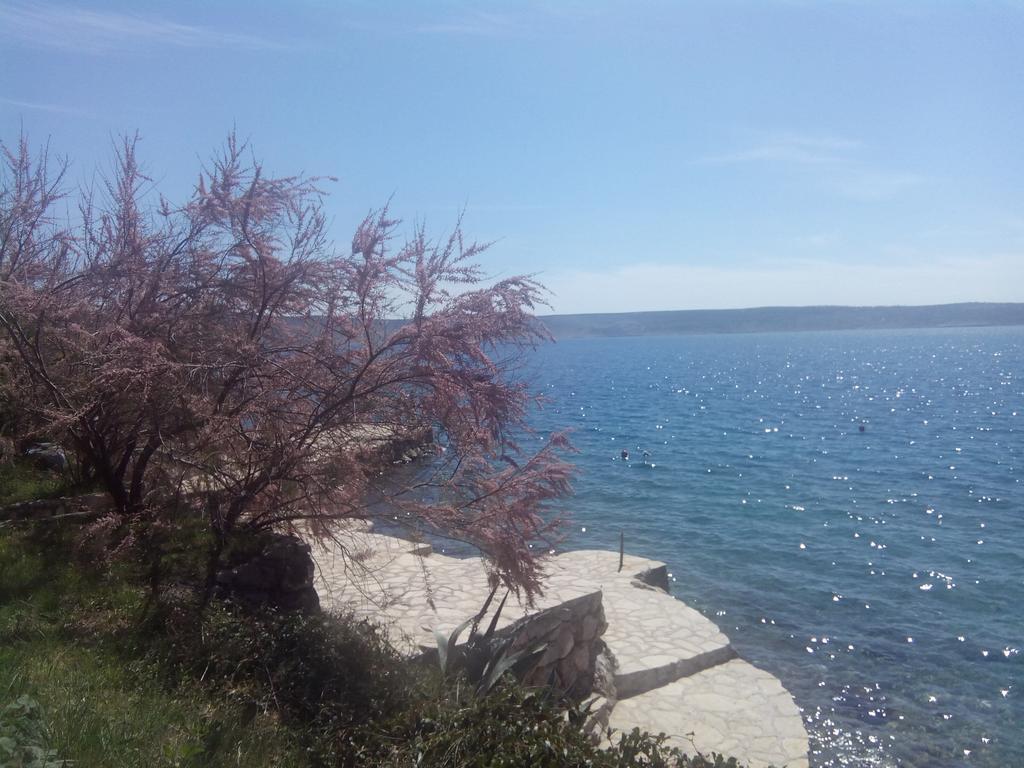 Apartments Ivanka Starigrad Paklenica Bilik gambar